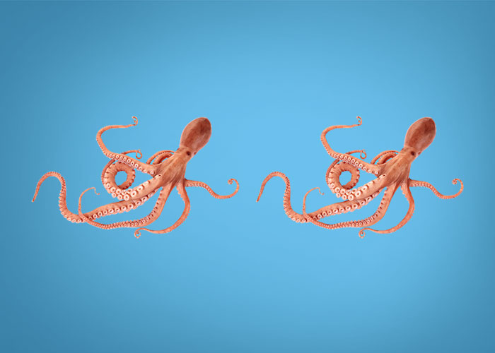 Double double — Mastercard MEA
